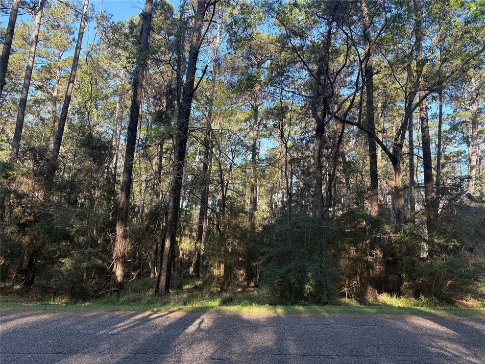 Unit for sale at 54 Green Tree Drive, Coldspring, TX 77331