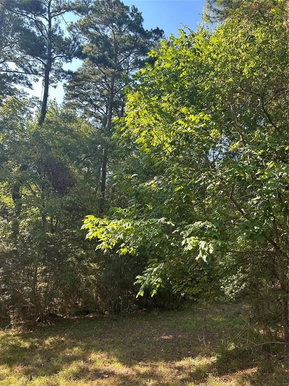 Unit for sale at 1327 Joanna Hill, Livingston, TX 77351