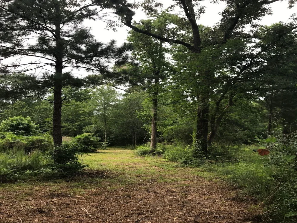 Unit for sale at 26150 Grand Pines Road, Magnolia, TX 77355