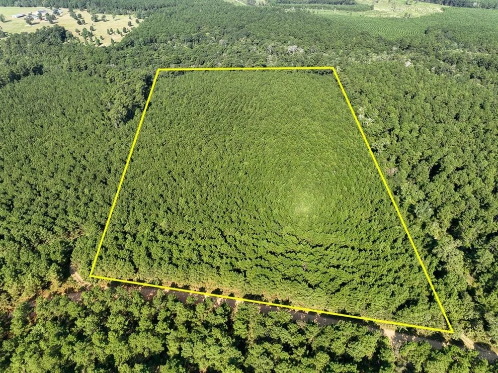 Unit for sale at 0 Shady Grove Rd, Woodville, TX 75979