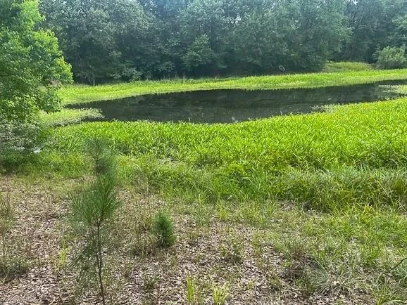 Unit for sale at TBD Birdsong Lane, Bedias, TX 77831