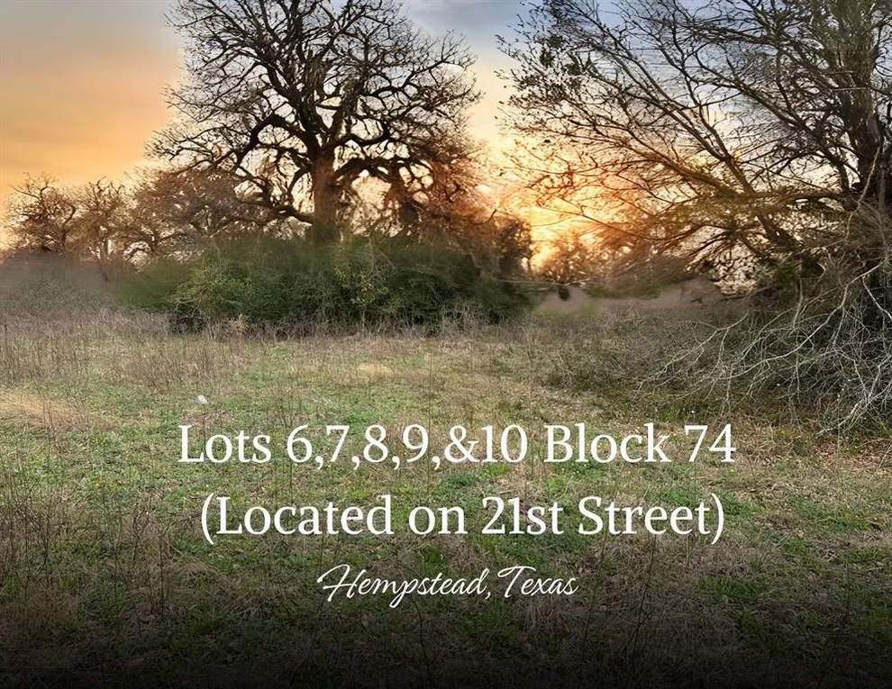 Unit for sale at Lots 6,7, 8,9,10 Block 74 Located On 21st Street, Hempstead, TX 77445