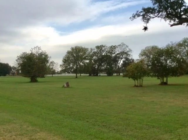 Unit for sale at 4402 Tankersley Circle, Rosharon, TX 77583
