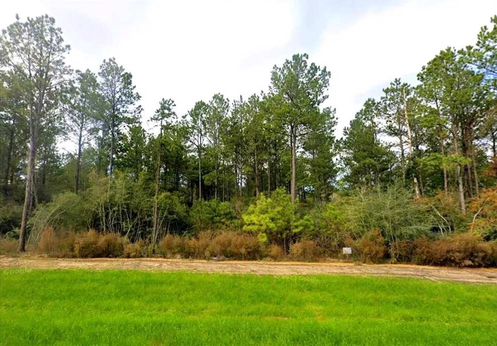 Unit for sale at 15611 Intrepid Lane, Willis, TX 77378