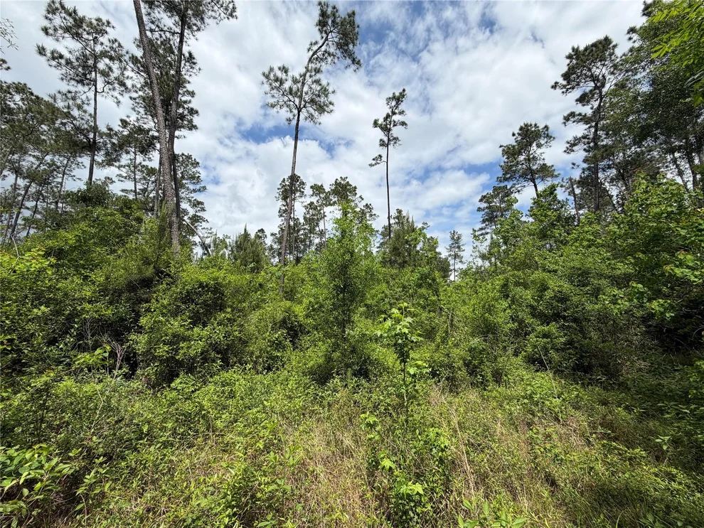 Unit for sale at TBD Kelly Rd Road, Thicket, TX 77374