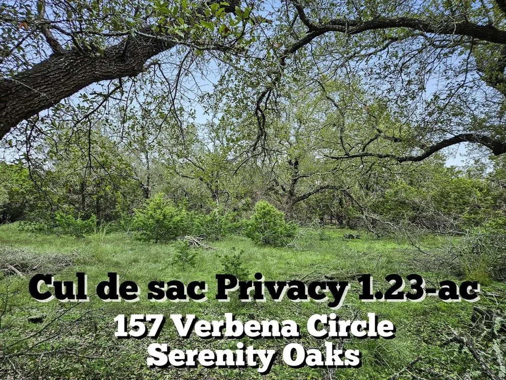 Unit for sale at 157 Verbena Circle, Spring Branch, TX 78070