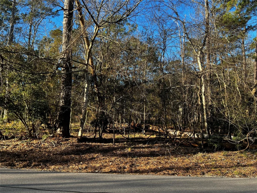 Unit for sale at 172 N Fairway Loop, Coldspring, TX 77331