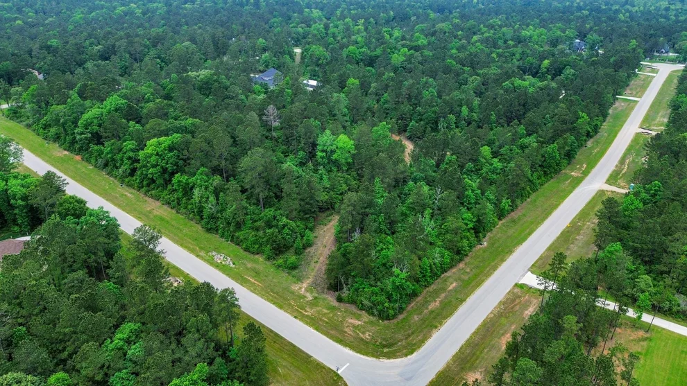 Unit for sale at 10517 Single Shot Lane, Willis, TX 77378