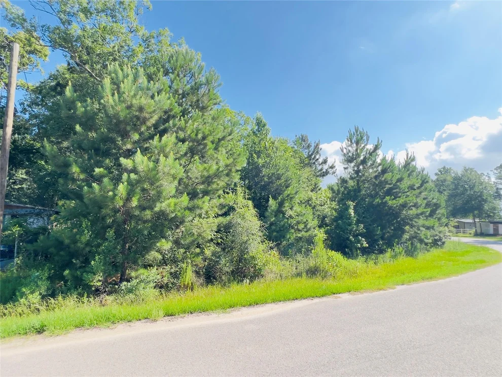 Unit for sale at 971 County Road 3415, Cleveland, TX 77327