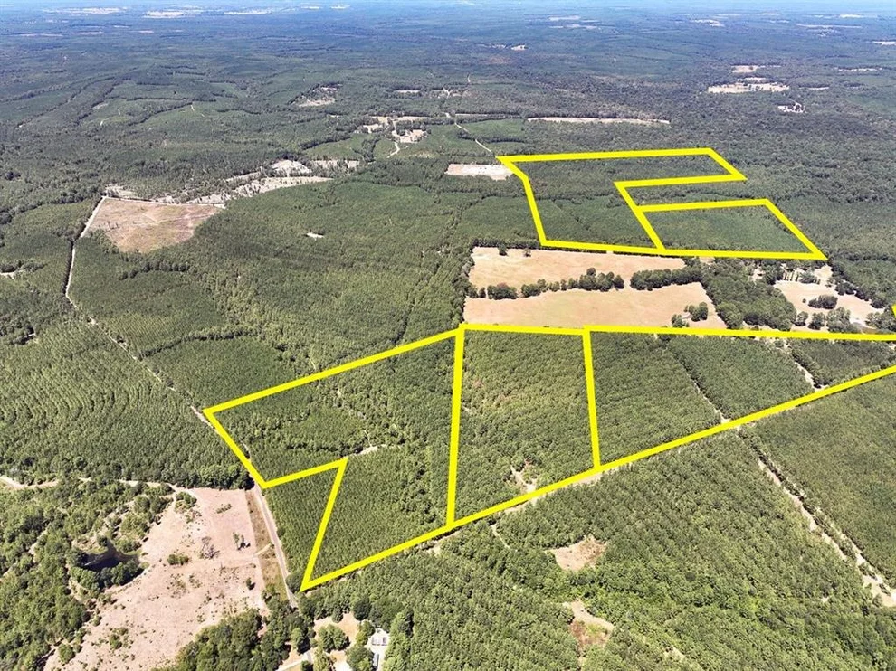 Unit for sale at 12 Joskey Dykes Rd, Zavalla, TX 75980