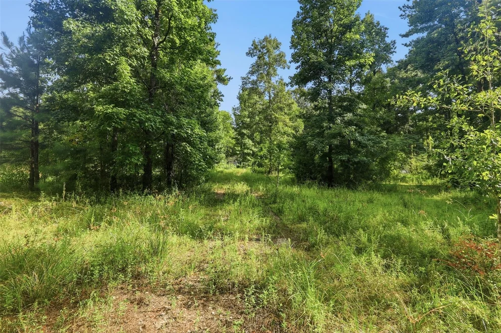 Unit for sale at 31577 Bohlssen Road, New Caney, TX 77357