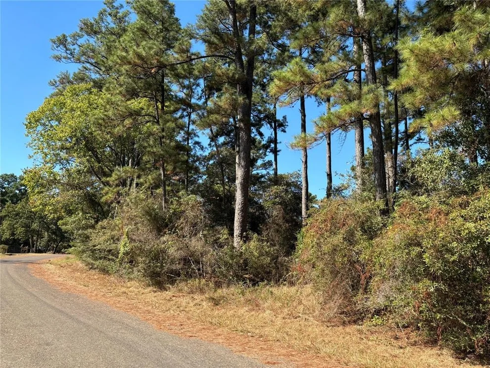 Unit for sale at 00 Cherry Laurel Lane, Navasota, TX 77868