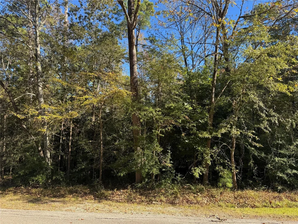 Unit for sale at 58 N Fairway Loop, Coldspring, TX 77331