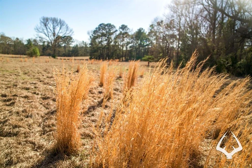 Unit for sale at TBD County Road 453, Laneville, TX 75667