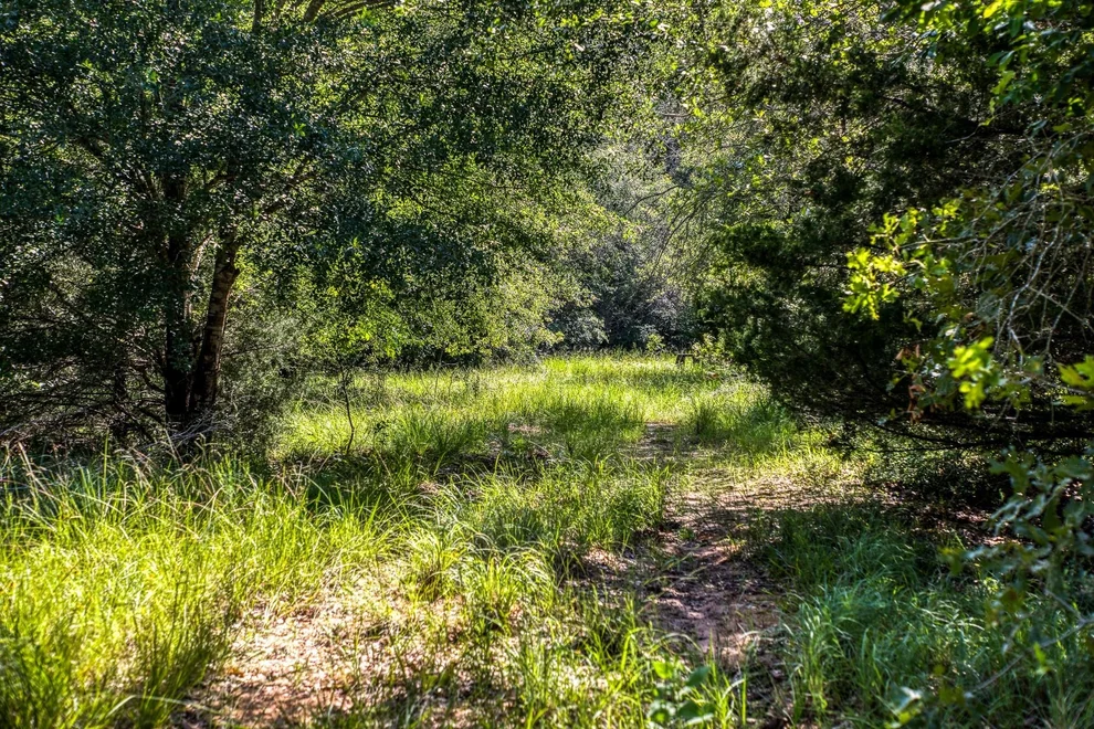Unit for sale at 9808 Fm-908, Caldwell, TX 77836