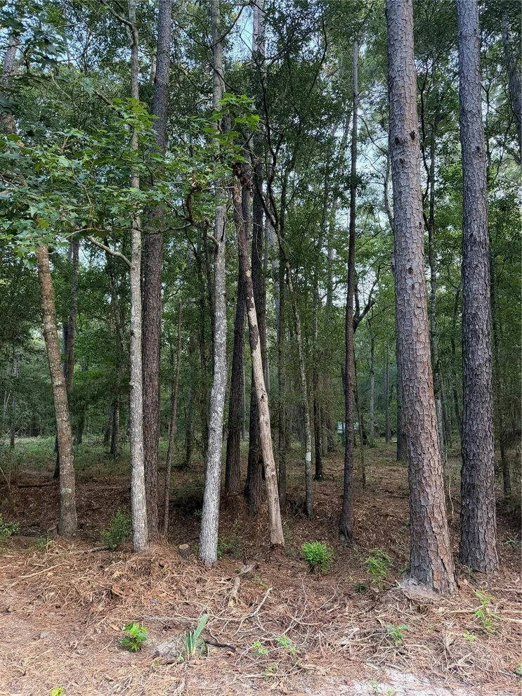 Unit for sale at 43 Sims Oak Road, Splendora, TX 77372