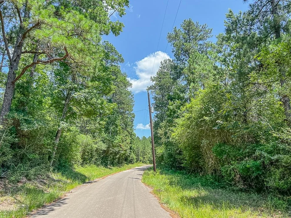 Unit for sale at 01 Cr 364, Zavalla, TX 75980