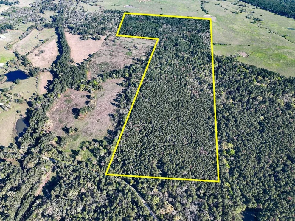 Unit for sale at 1 Bishop Road, Huntsville, TX 77320