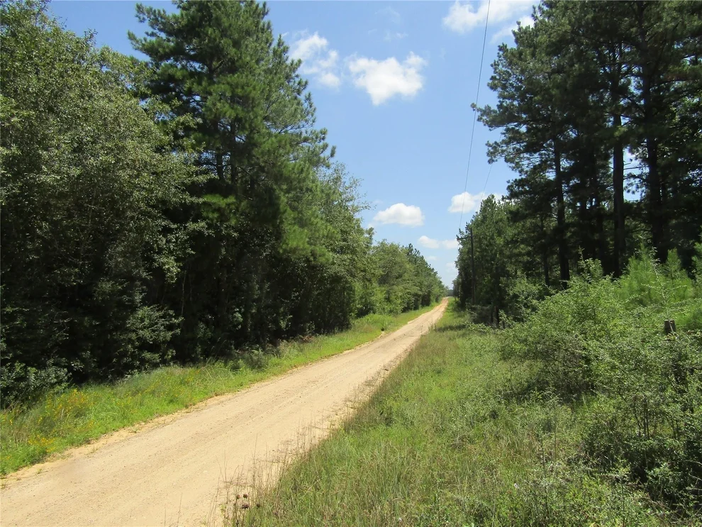 Unit for sale at 560 County Road 4502, Hillister, TX 77624
