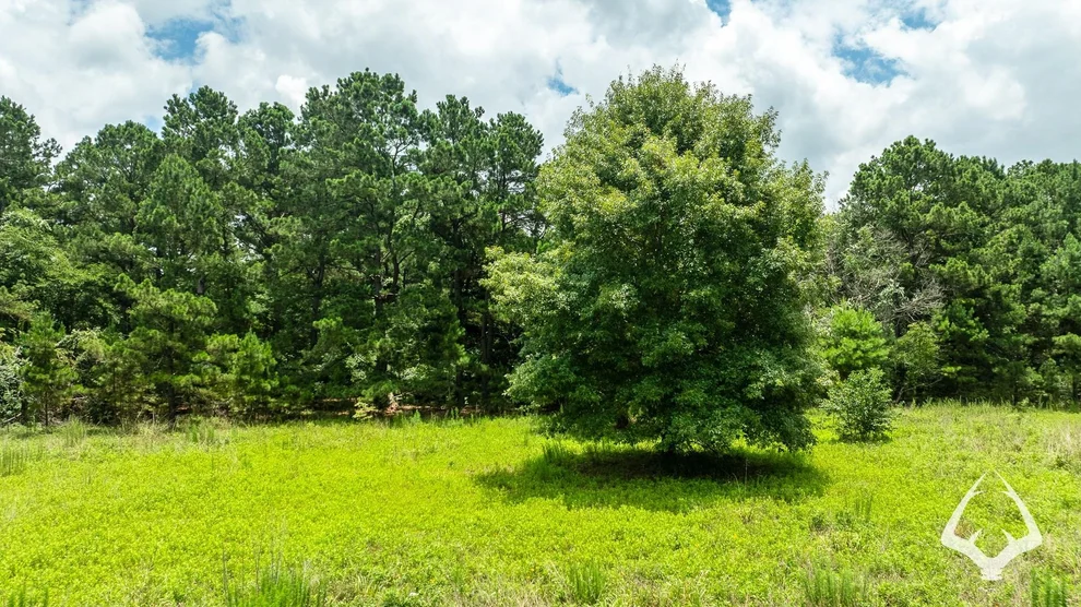 Unit for sale at 00 County Road 2265, Grapeland, TX 75844
