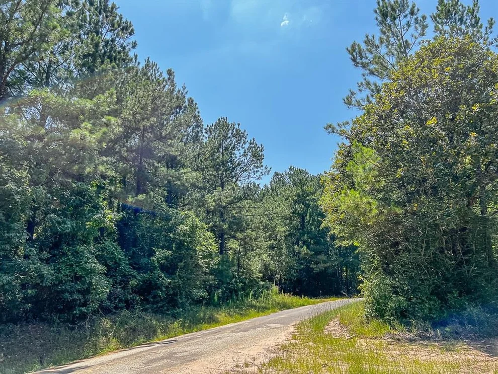 Unit for sale at 0000 Cr 366/Cr 368, Zavalla, TX 75980