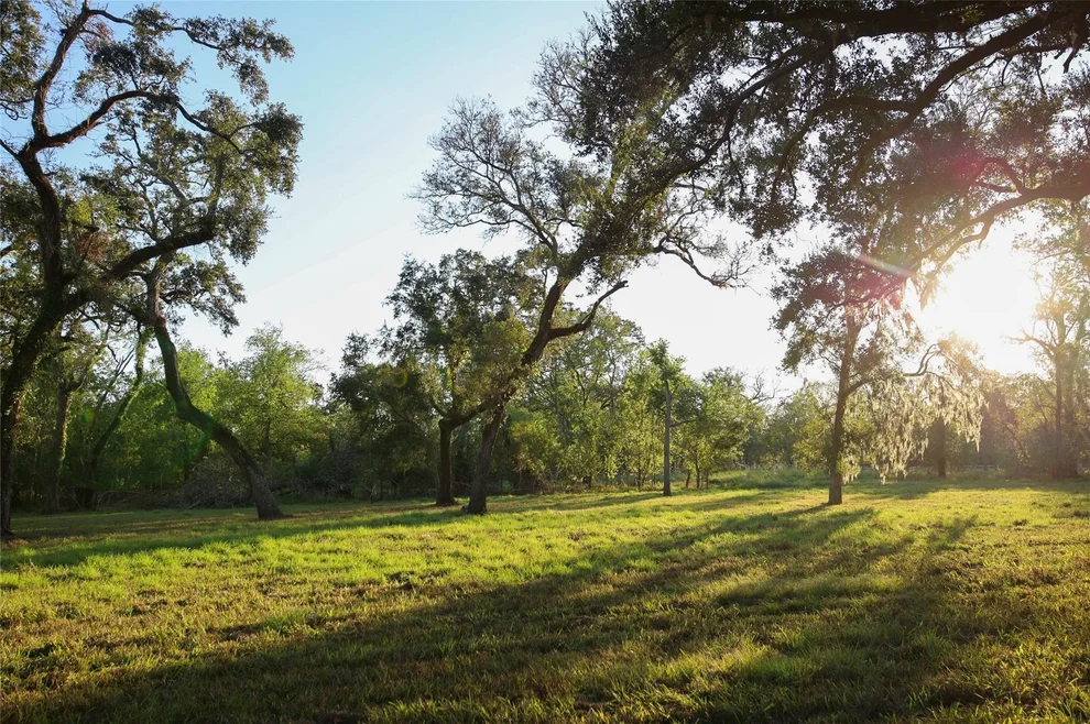 Unit for sale at 839 Cross Timbers Drive, Rosharon, TX 77583