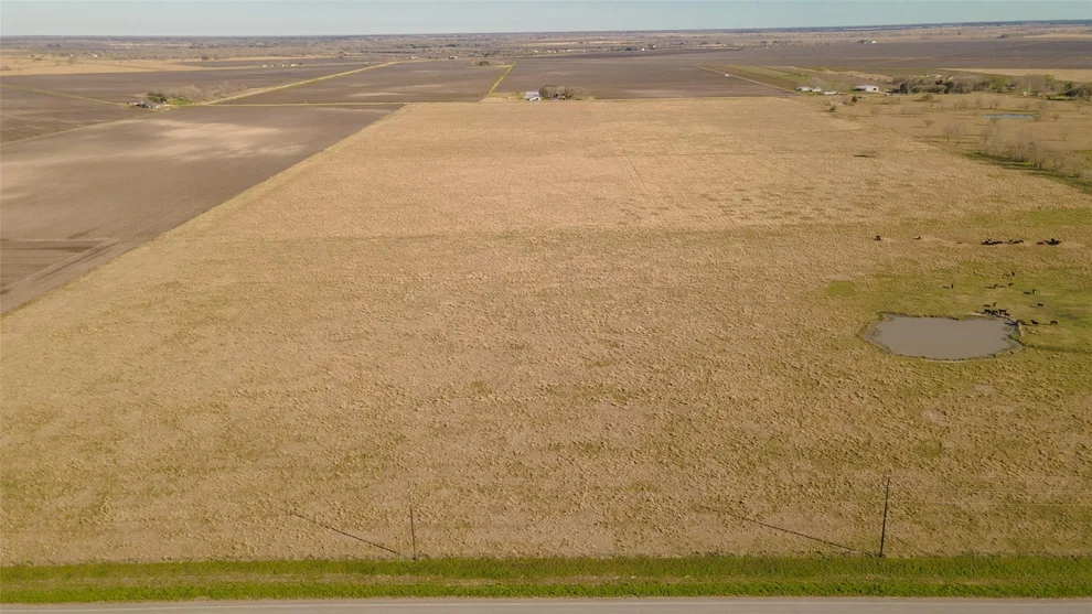 Unit for sale at 002 Fm 1462 Road, Damon, TX 77430