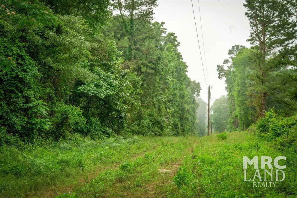 Unit for sale at 00 County Road 177, Garrison, TX 75946