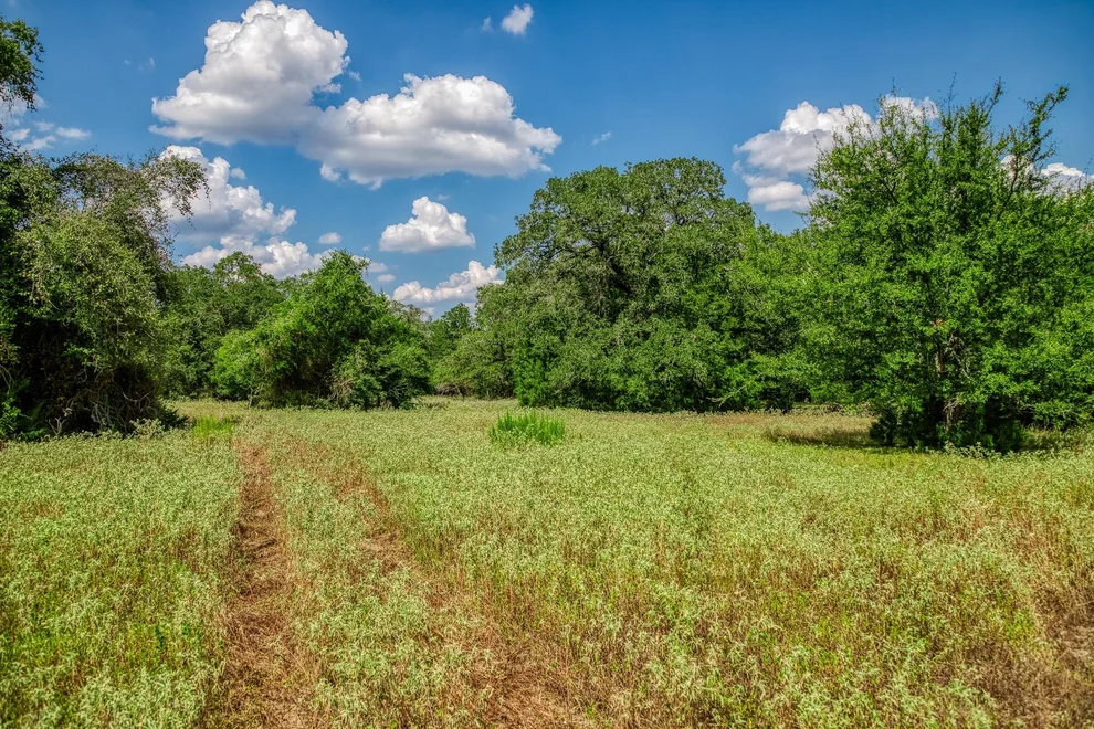 Unit for sale at 8595 County Road 324, Caldwell, TX 77836