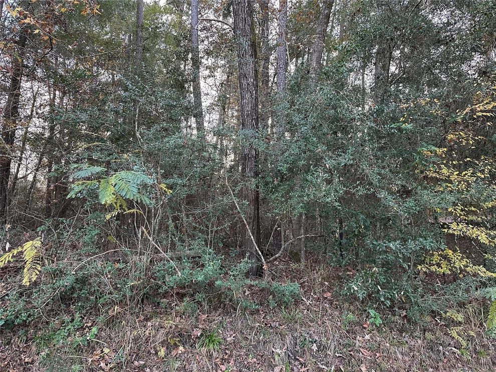 Unit for sale at TBD Gary Court, Livingston, TX 77351