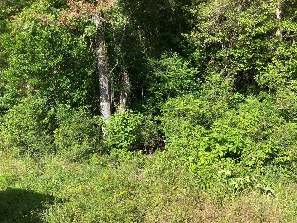Unit for sale at TBD Fm 1276 Road, Livingston, TX 77351