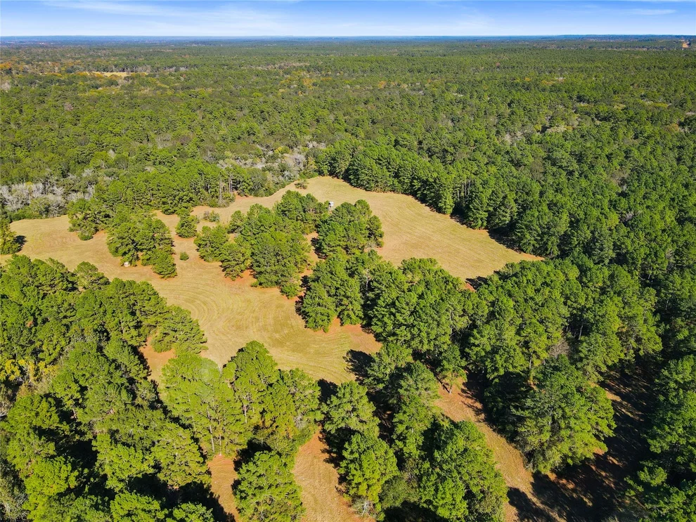 Unit for sale at TBD Chandler Lane, Huntsville, TX 77320