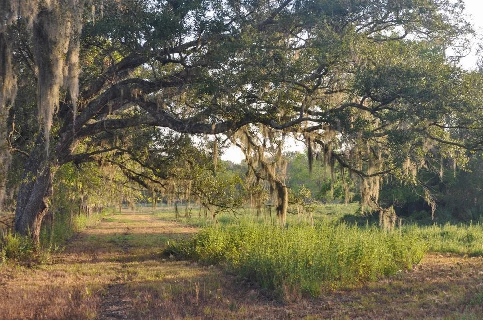 Unit for sale at 4261 County Road 506, Brazoria, TX 77422