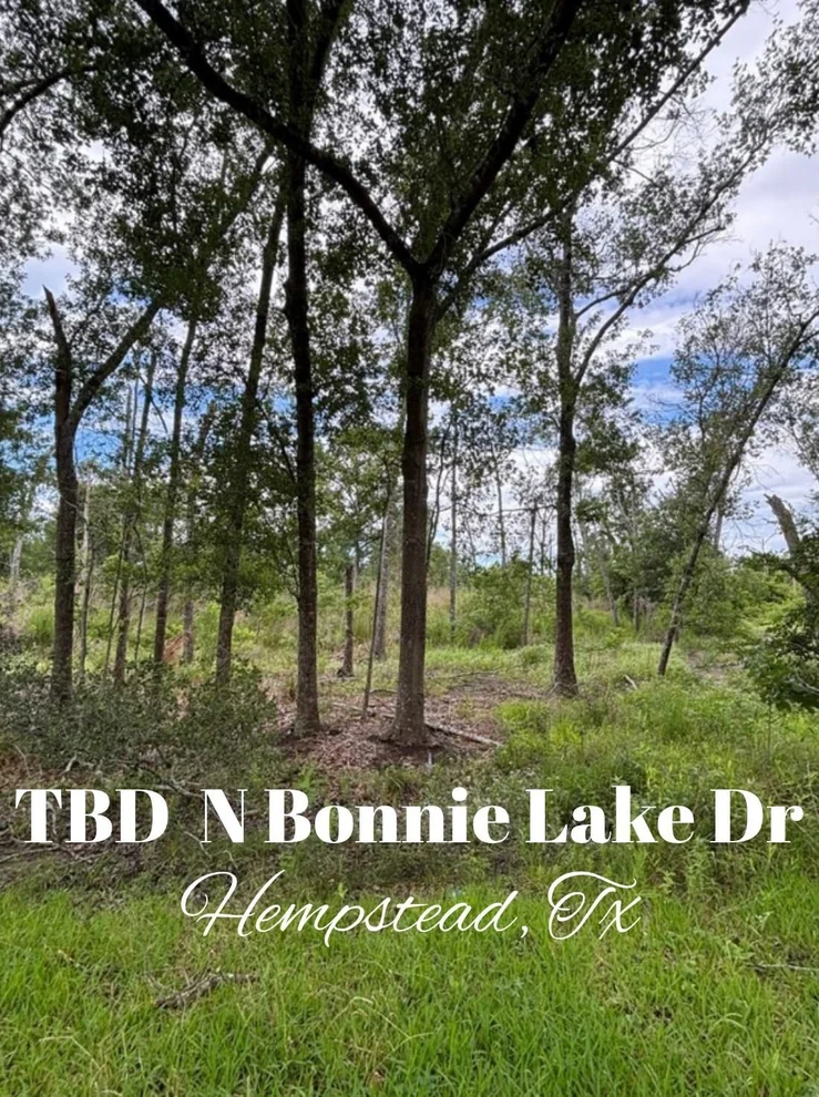 Unit for sale at TBD N Bonnie Lake Dr, Hempstead, TX 77445