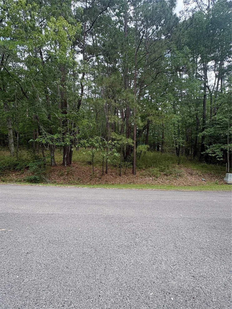Unit for sale at 78 Wentworth Lane, Coldspring, TX 77331