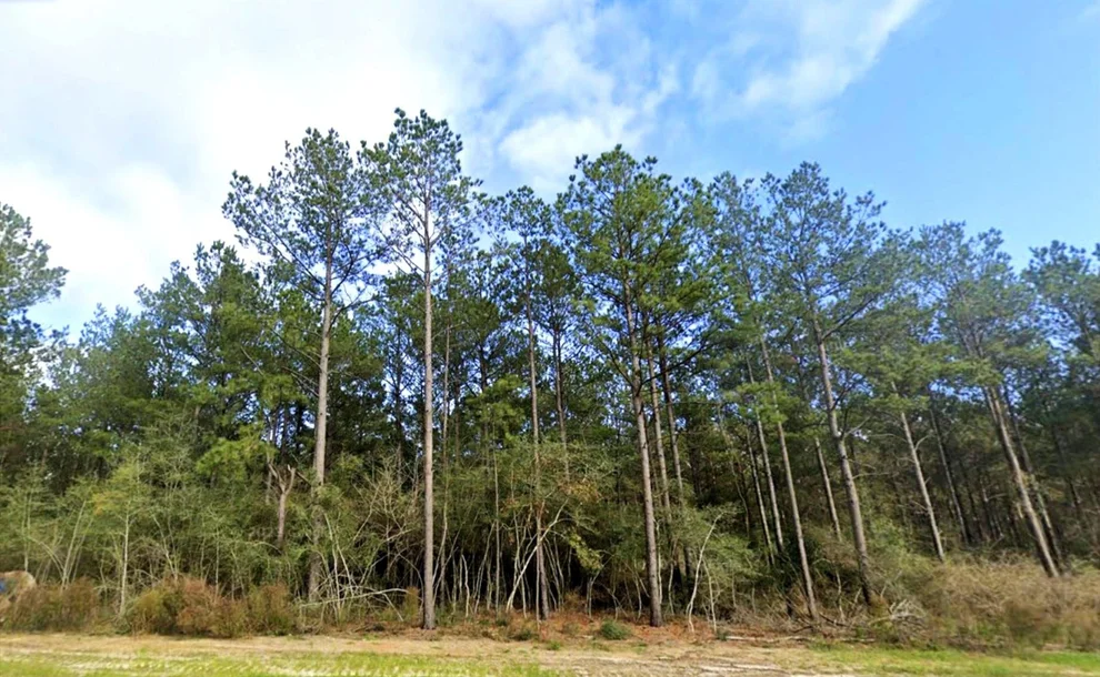 Unit for sale at 12016 Dawn Tree Lane, Willis, TX 77378