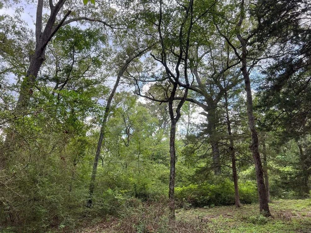 Unit for sale at 20 ac Cr 293, Oakwood, TX 75855