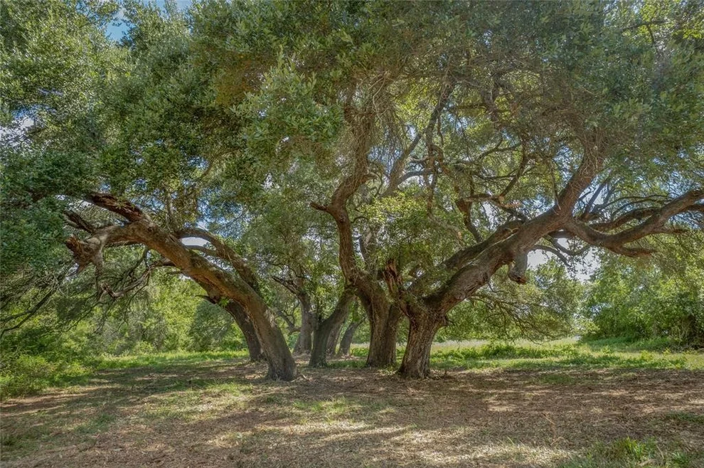 Unit for sale at 0 Cedar Hill Road, Brenham, TX 77833