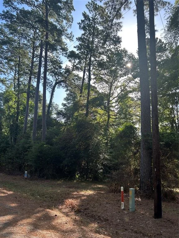 Unit for sale at 303132 Oak Pine Drive, Livingston, TX 77351