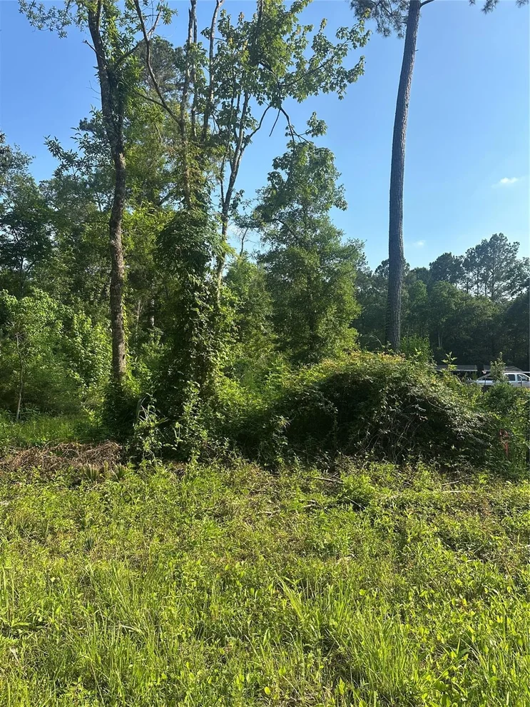 Unit for sale at TBD Little Lane, Shepherd, TX 77371