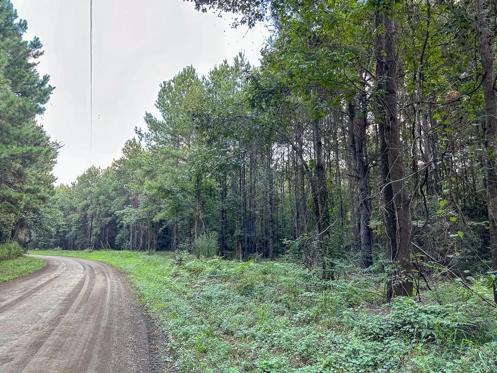 Unit for sale at TBD Cr 4700, Fred, TX 77616