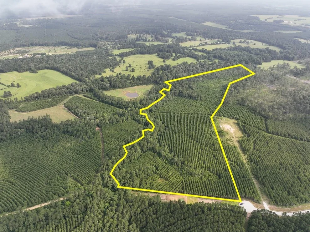 Unit for sale at 682 Cody Road, Livingston, TX 77351