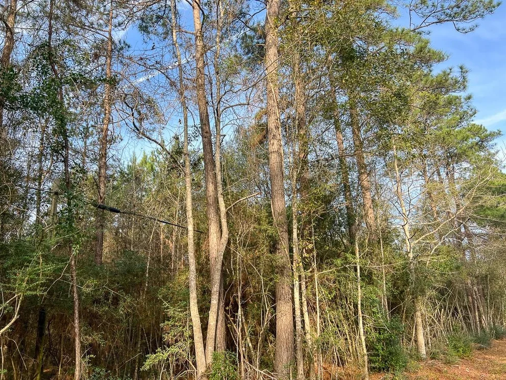 Unit for sale at 6 Tall Cotton Road, Saratoga, TX 77585