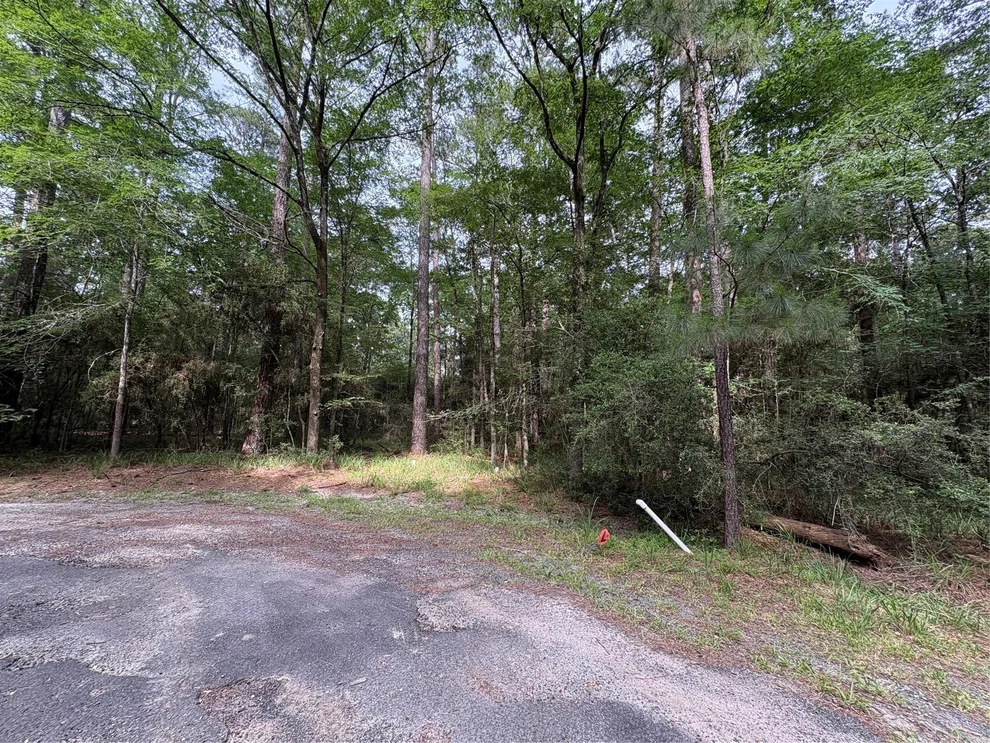Unit for sale at TBD N Clear Spring Road, Trinity, TX 75862