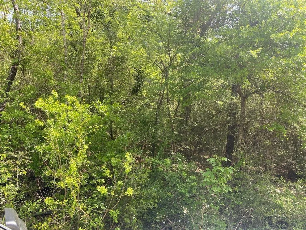Unit for sale at 00 Hollybrook Drive, Plantersville, TX 77363