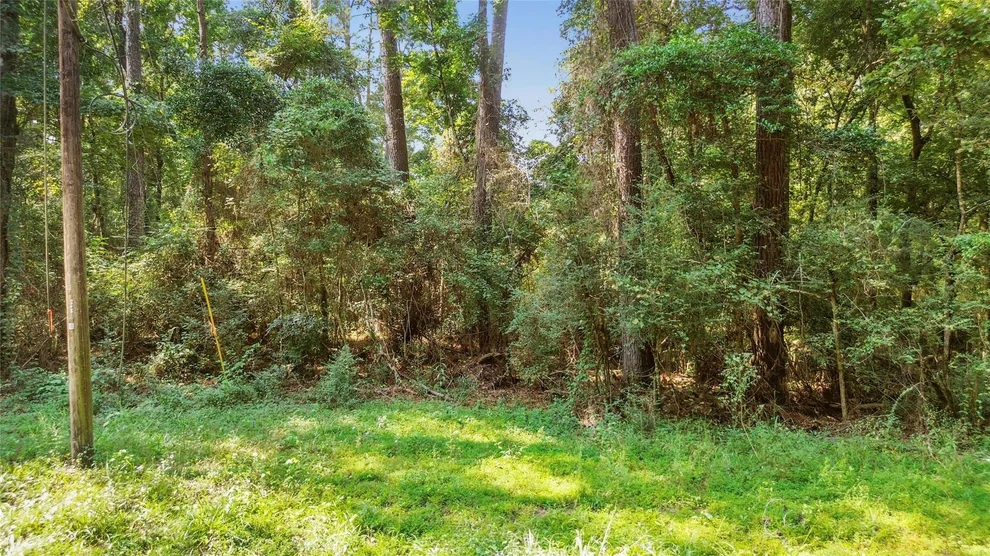 Unit for sale at 12865 Royal Forest Dr, Conroe, TX 77303