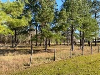 Unit for sale at 1409 Chocolate Bayou Drive, Alvin, TX 77511