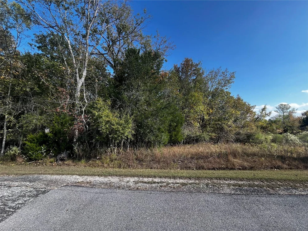 Unit for sale at 165 N Pine Harbour Drive, Coldspring, TX 77331
