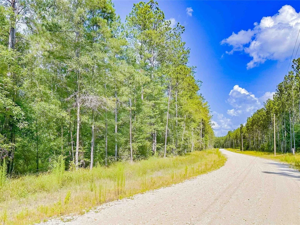 Unit for sale at 9010 Carter Ranch Road, Kountze, TX 77625