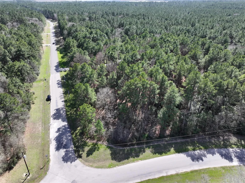 Unit for sale at 17582 E Terrace Oaks Drive, Waller, TX 77484